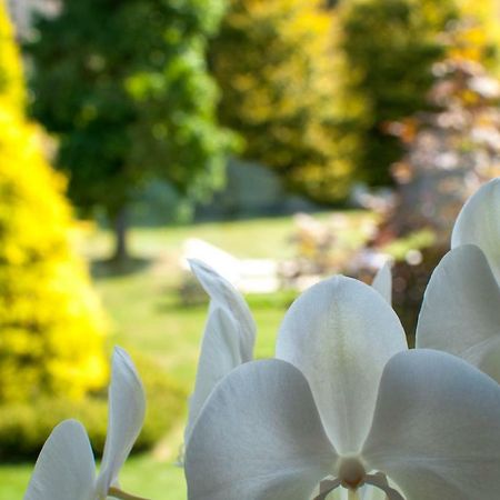 Il Giardino Segreto - Sport & Relax Villa Garessio Bagian luar foto